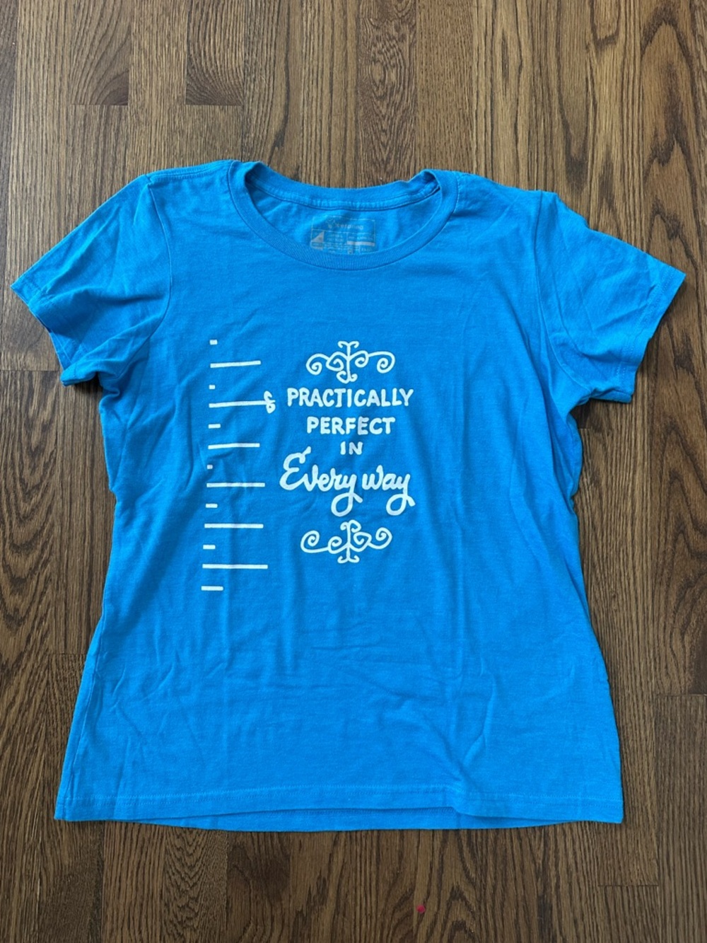 Practically Perfect in Every Way Blue Graphic T-Shirt, size L
